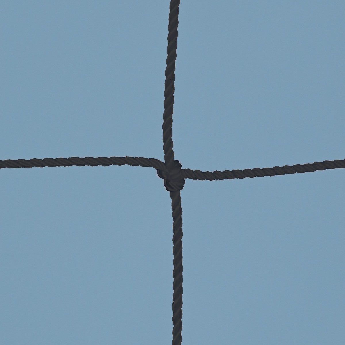 Trennnetz Tennishalle 40 x 3,00 m aus Nylon 1,6 mm ø, schwarz aus der Kategorie Standardmaß 40 x 3,00 m